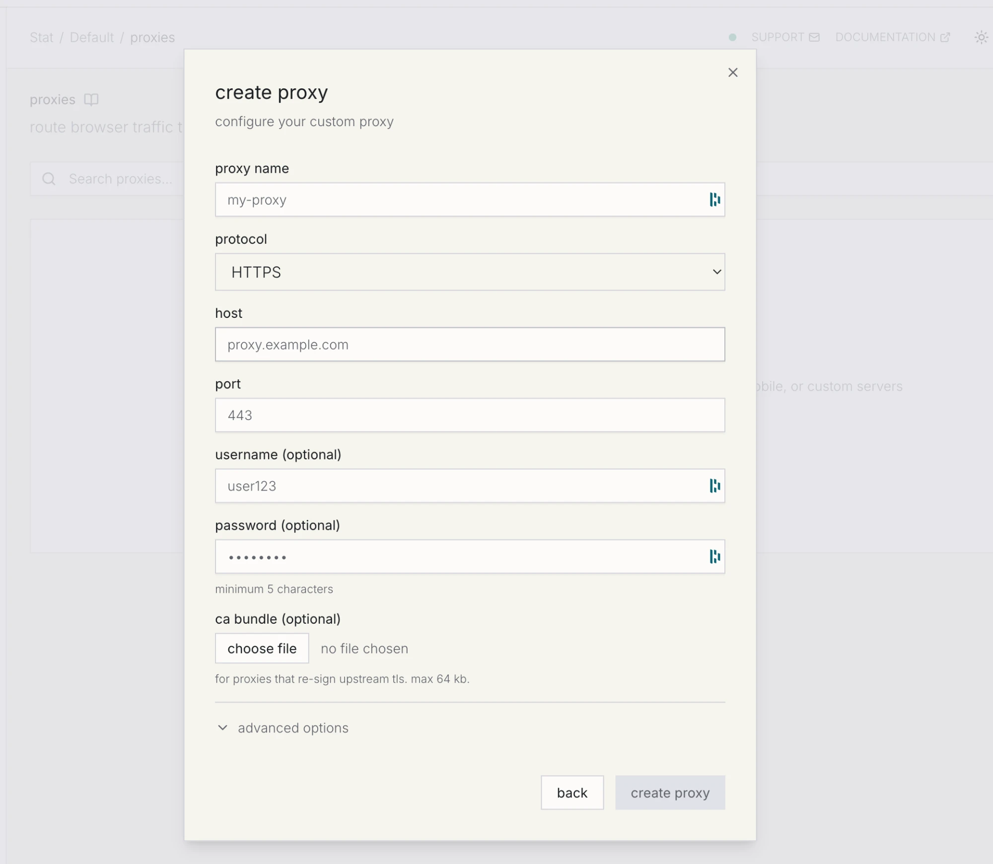 Kernel's custom proxy form with fields for proxy name, protocol, host, port, username, password, and an optional CA bundle