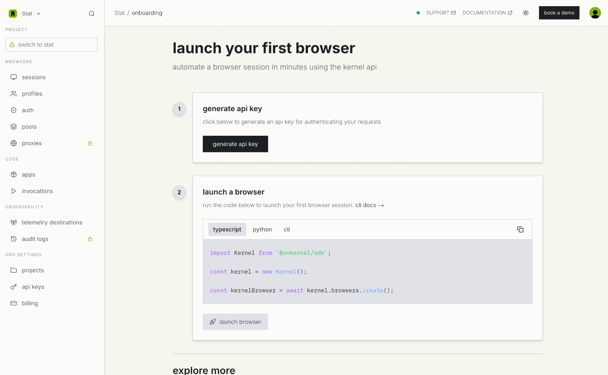 The Kernel onboarding screen, showing the generate api key button and a first browser launch snippet